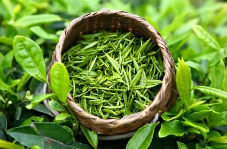 Về chúng tôi